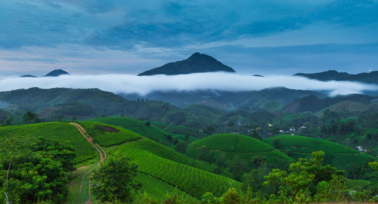 A vibrant green mountain landscape with mist and blue sky in a serene outdoor setting.